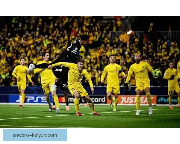 本菲卡锋线效率持续提升，进攻端表现稳健